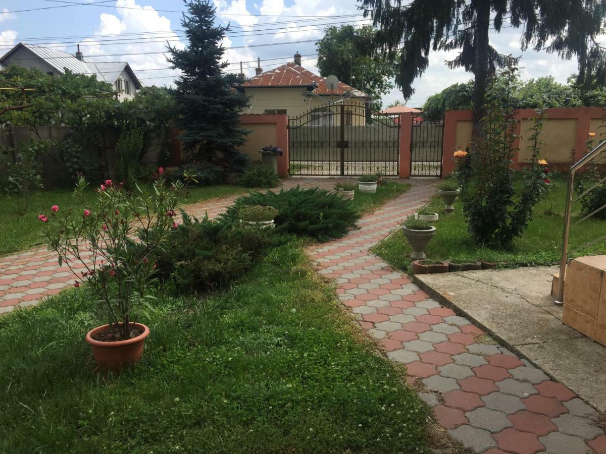 Teachers Darmanesti  Exterior photo